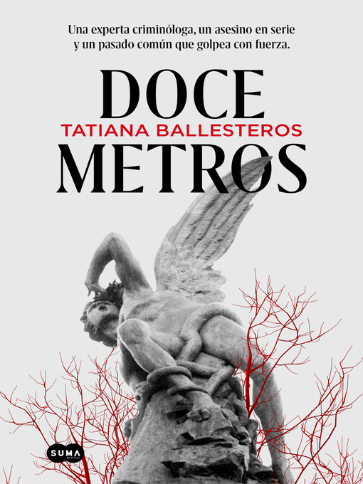 Title details for Doce metros by Tatiana Ballesteros - Wait list
